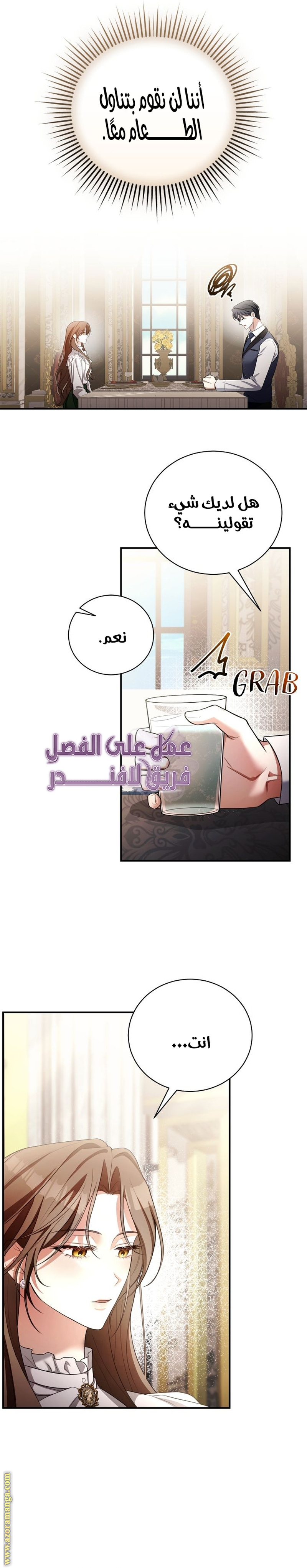 الصفحة 25