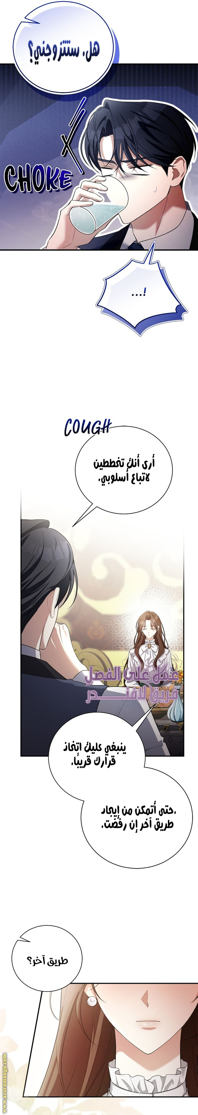الصفحة 26