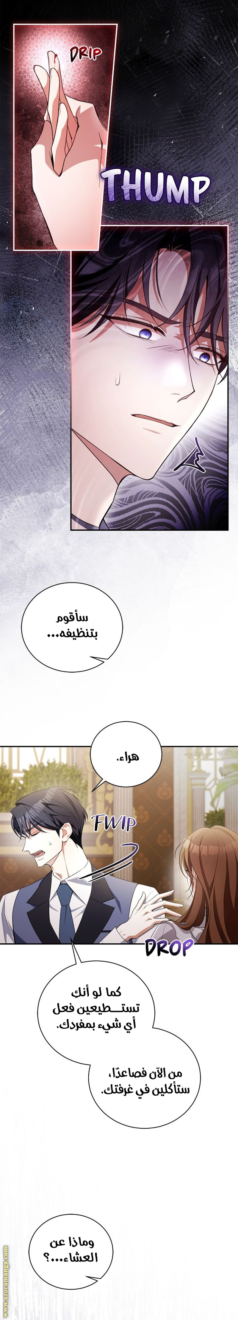 الصفحة 11