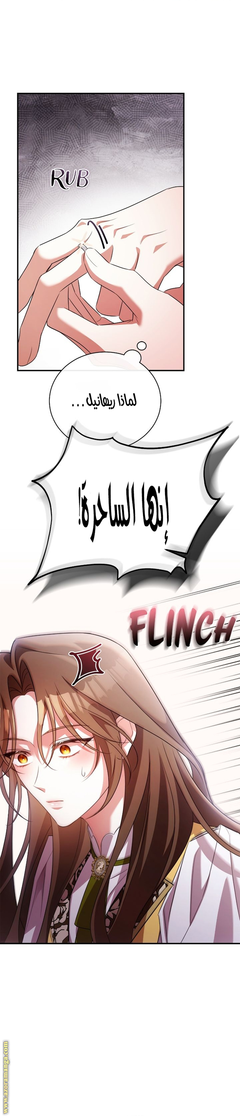 الصفحة 25