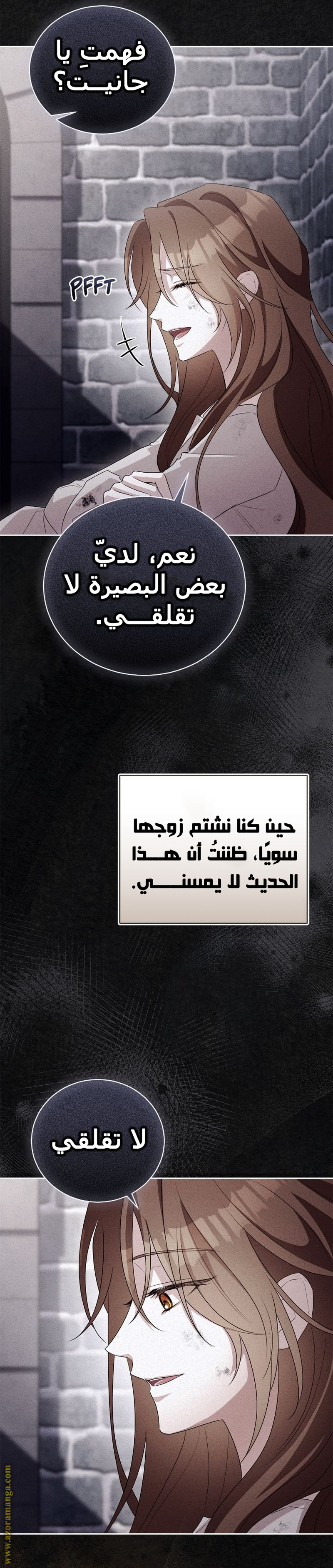الصفحة 13
