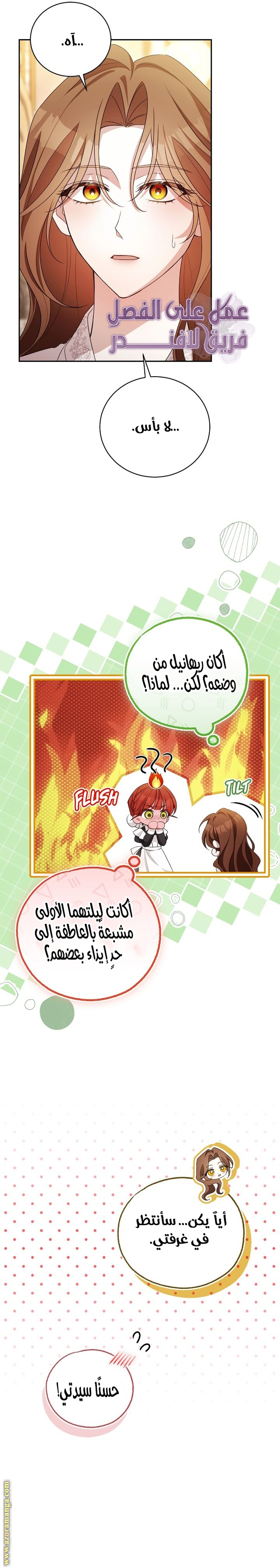 الصفحة 27