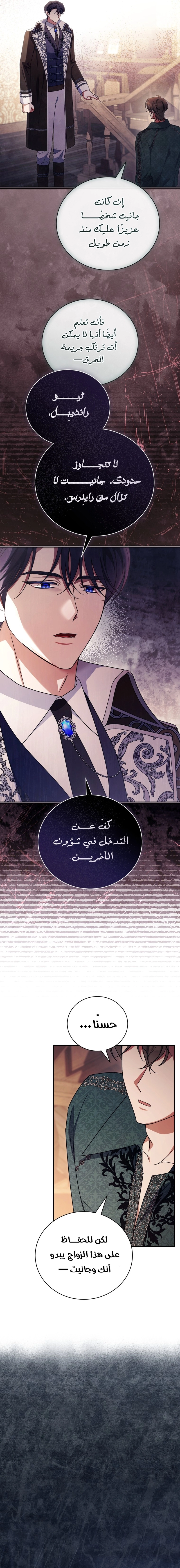 الصفحة 17