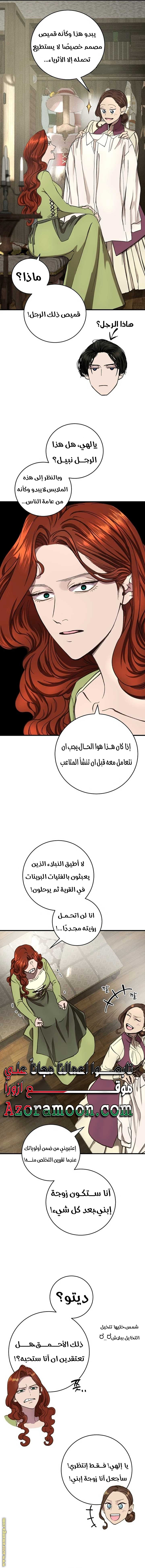 الصفحة 17