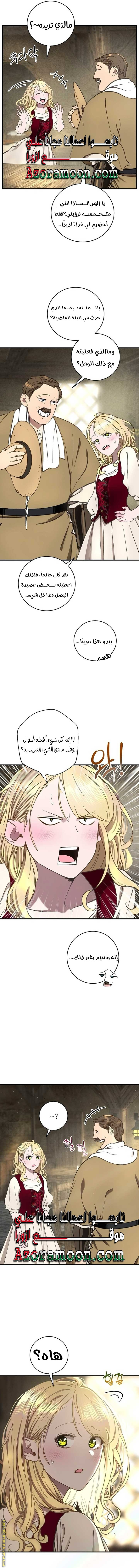 الصفحة 20