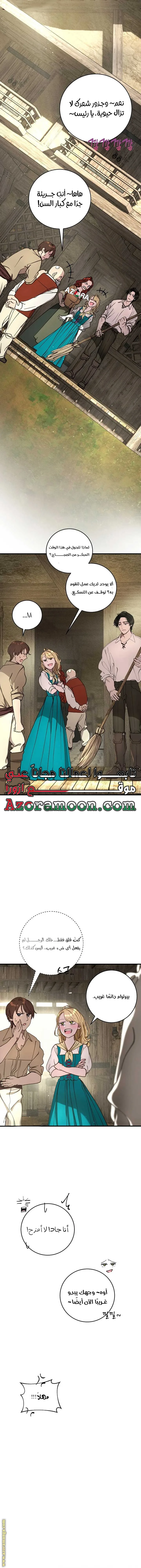 الصفحة 17