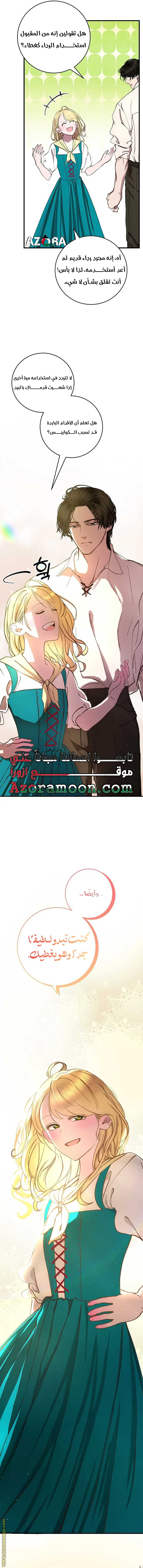 الصفحة 21