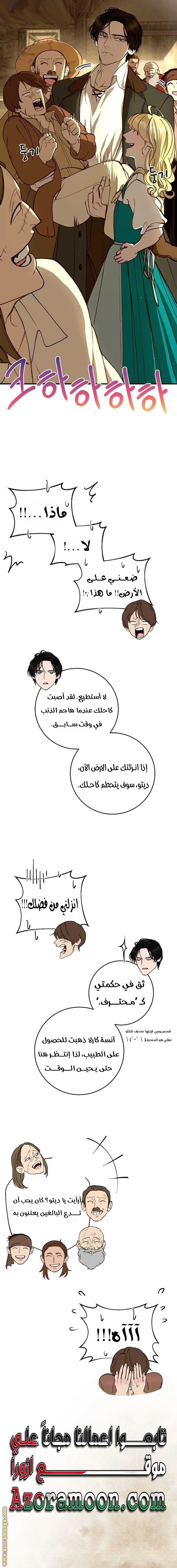 الصفحة 17