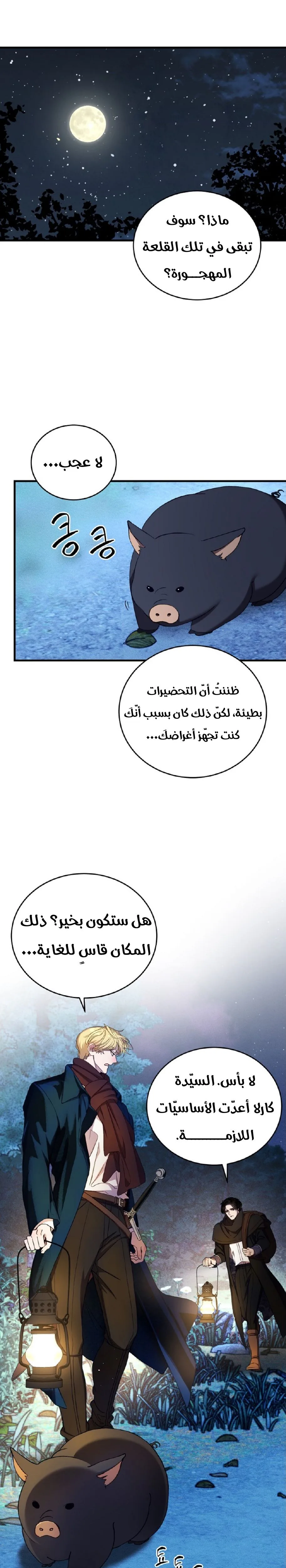 الصفحة 13