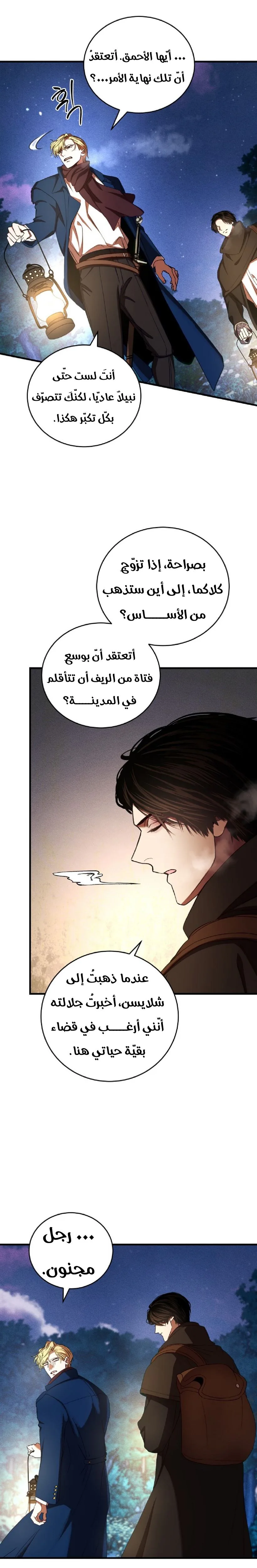 الصفحة 27