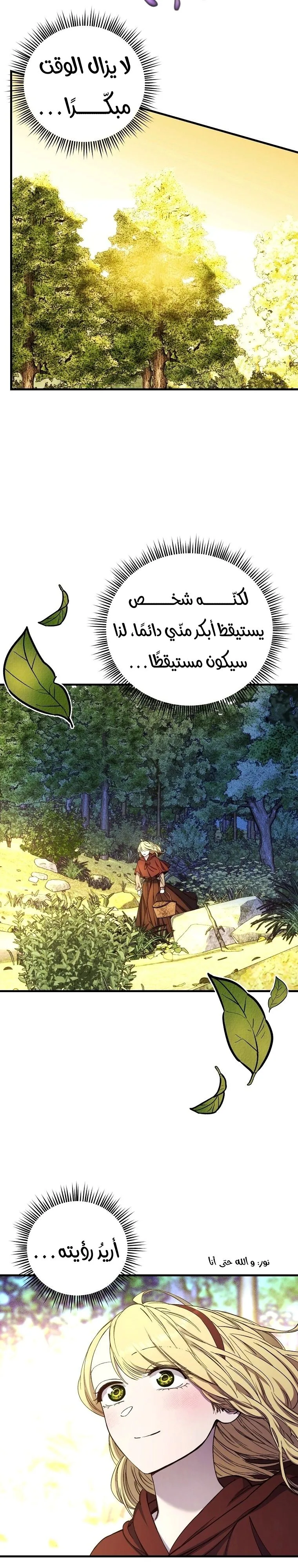 الصفحة 16