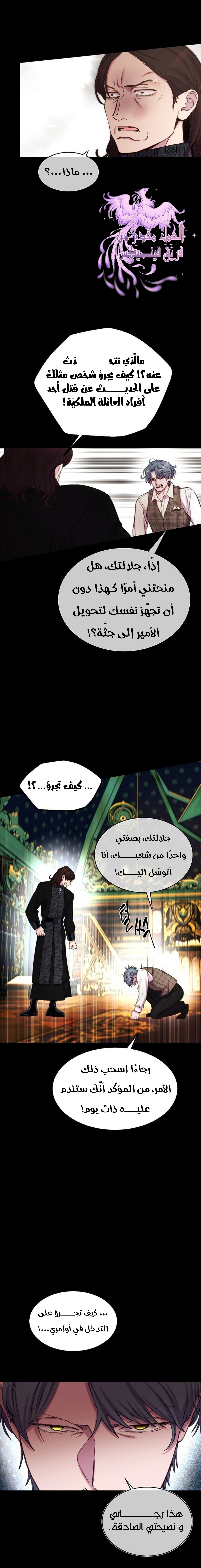 الصفحة 17