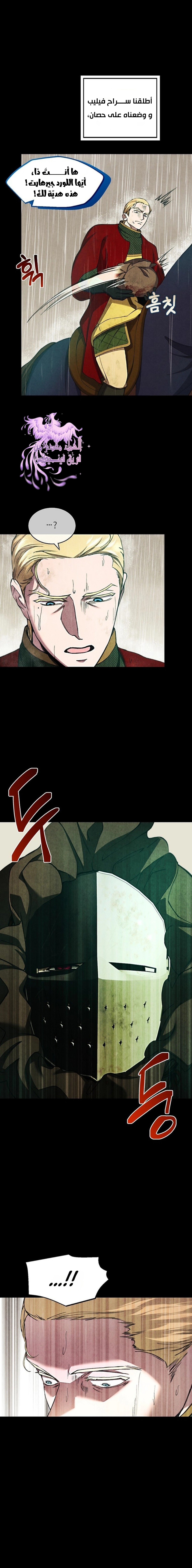 الصفحة 17
