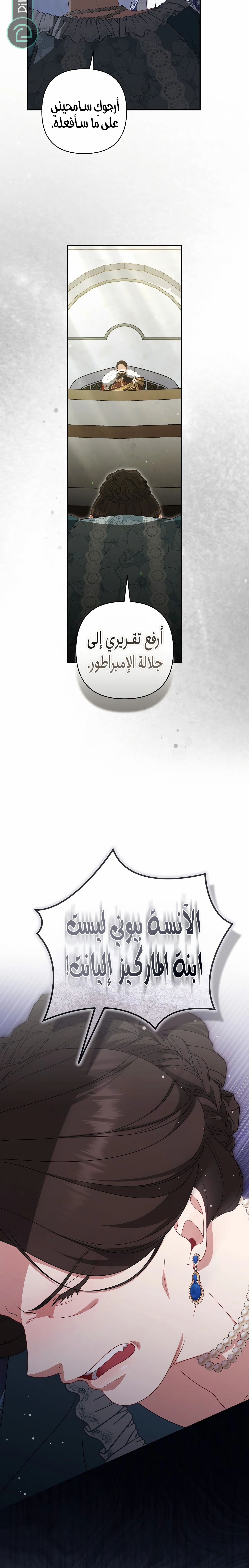 الصفحة 17