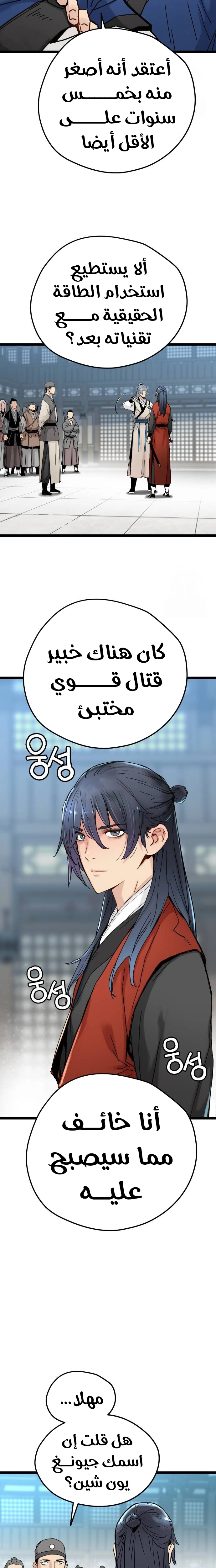 الصفحة 17