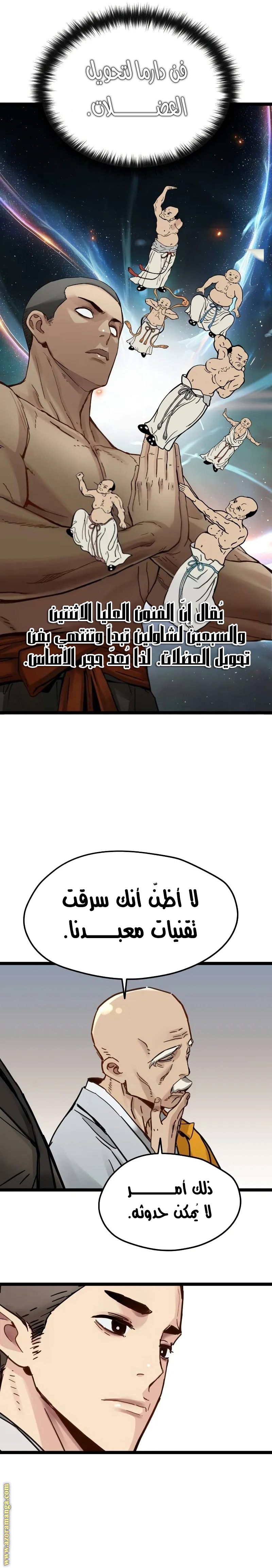 الصفحة 17