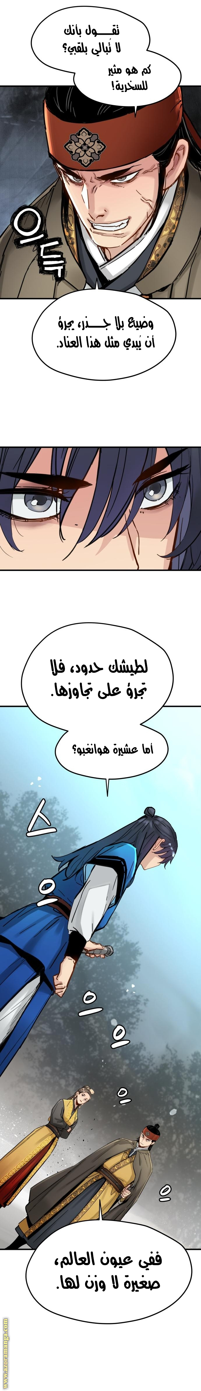 الصفحة 17