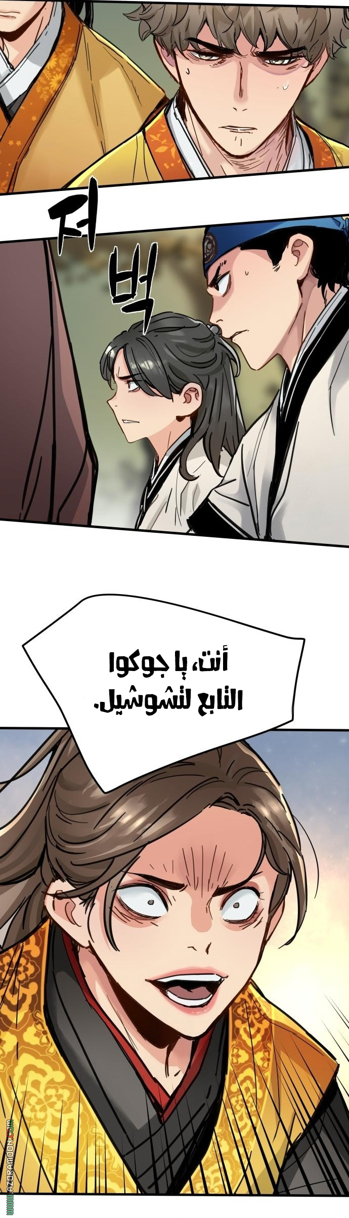 الصفحة 19