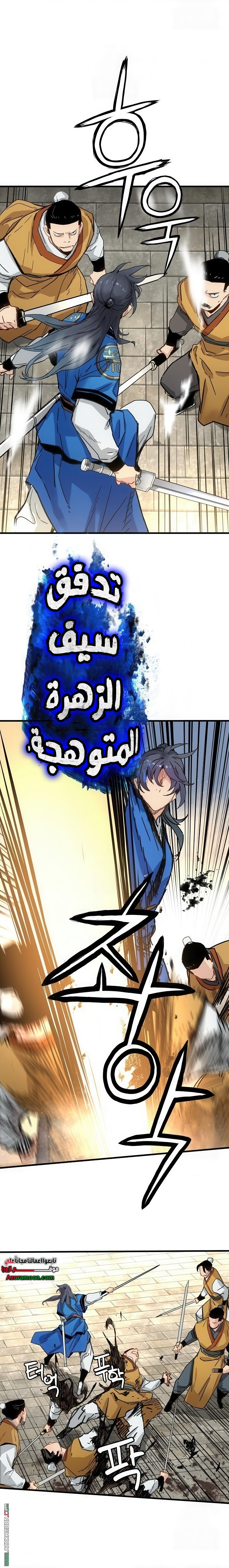 الصفحة 13