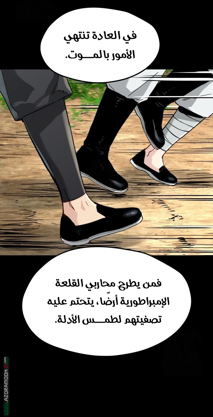الصفحة 17