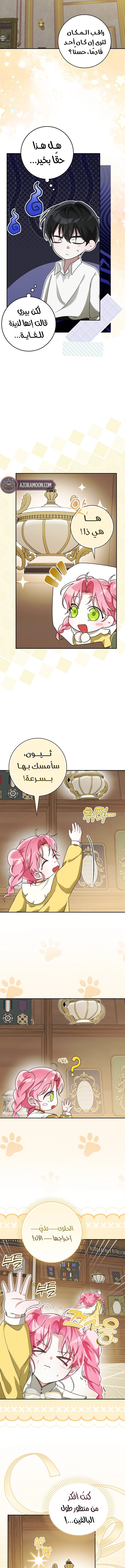 الصفحة 11