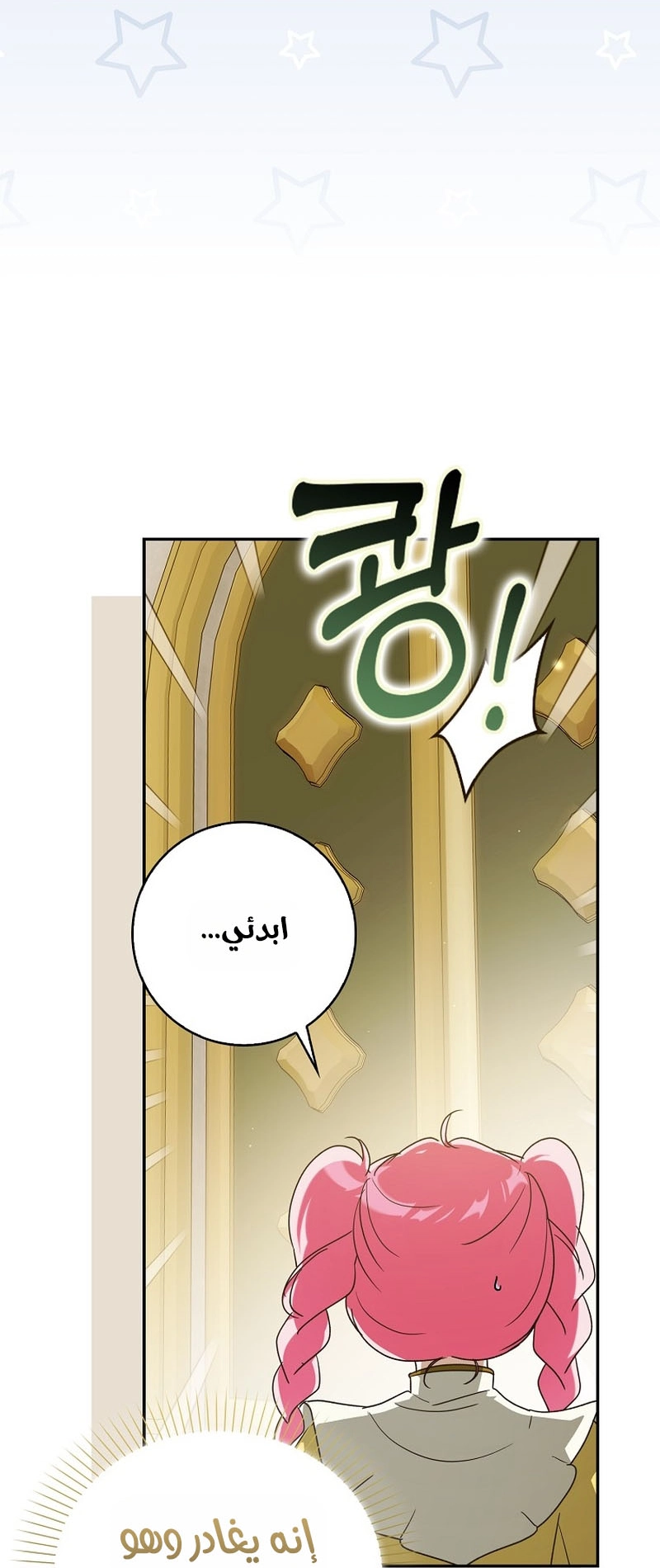 الصفحة 27