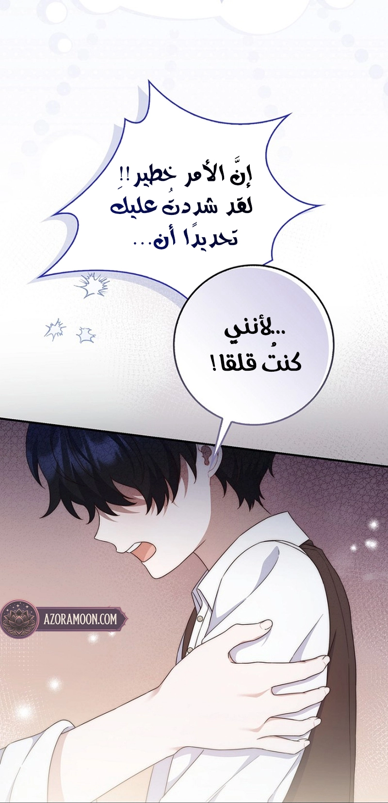 الصفحة 12