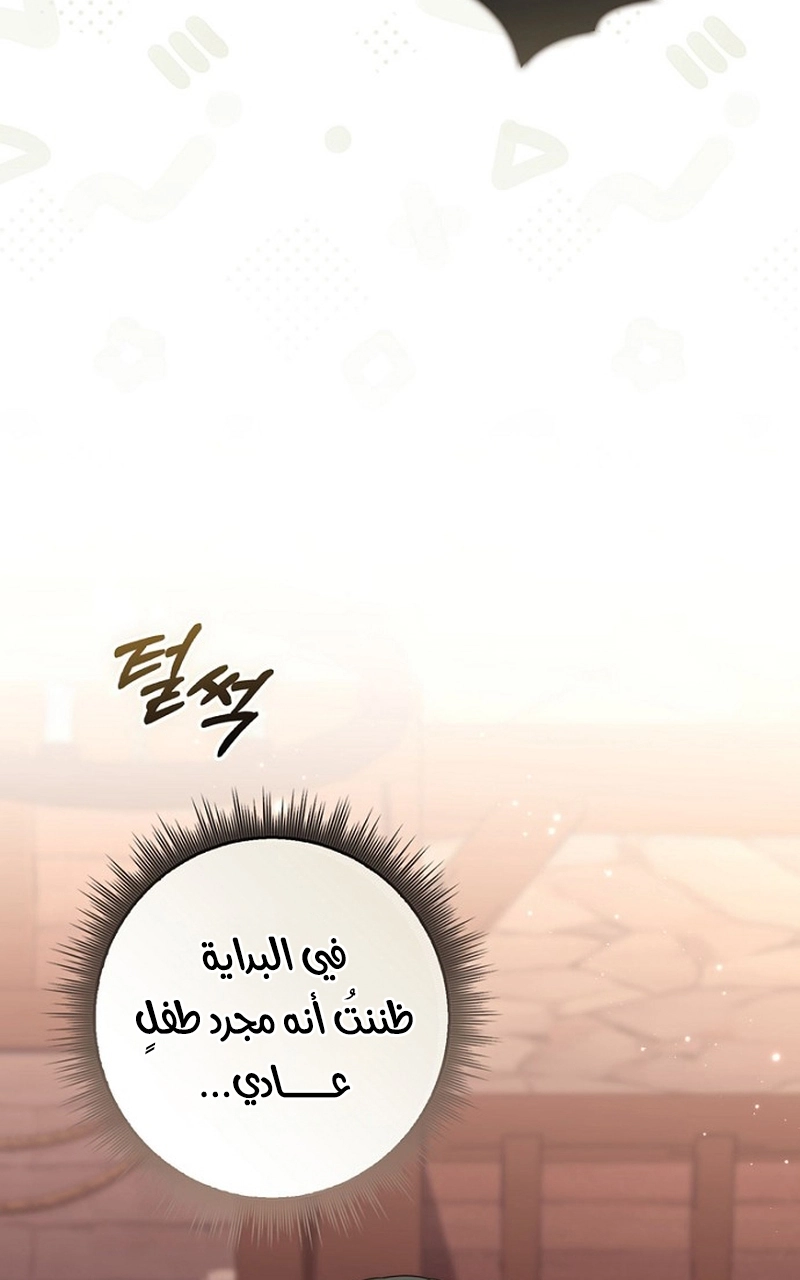 الصفحة 33
