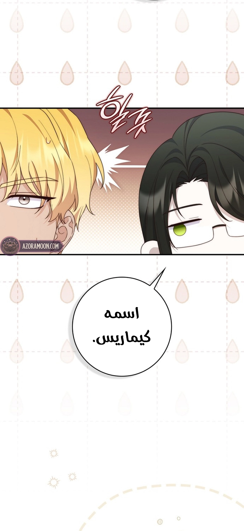 الصفحة 40