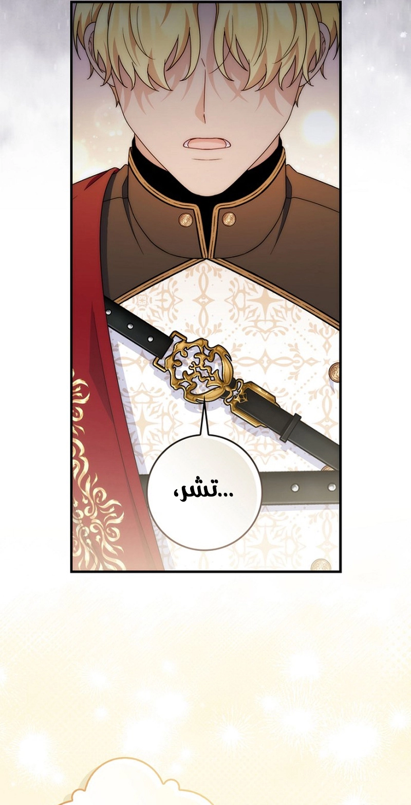 الصفحة 49