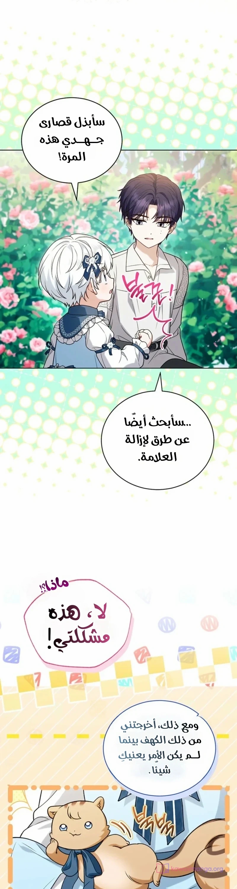 الصفحة 16
