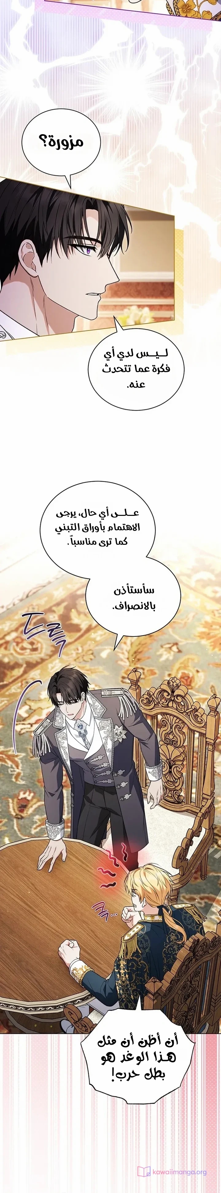 الصفحة 13