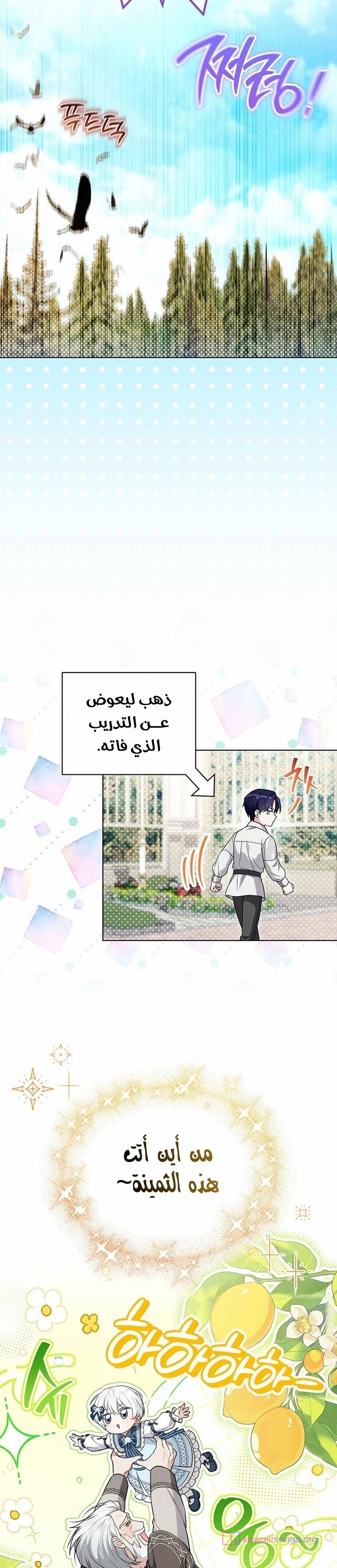الصفحة 13