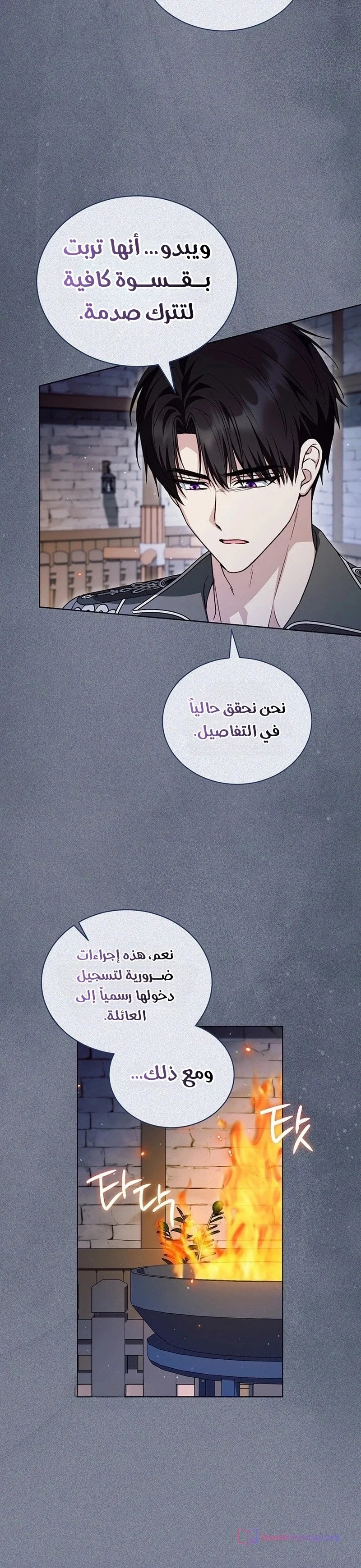 الصفحة 19