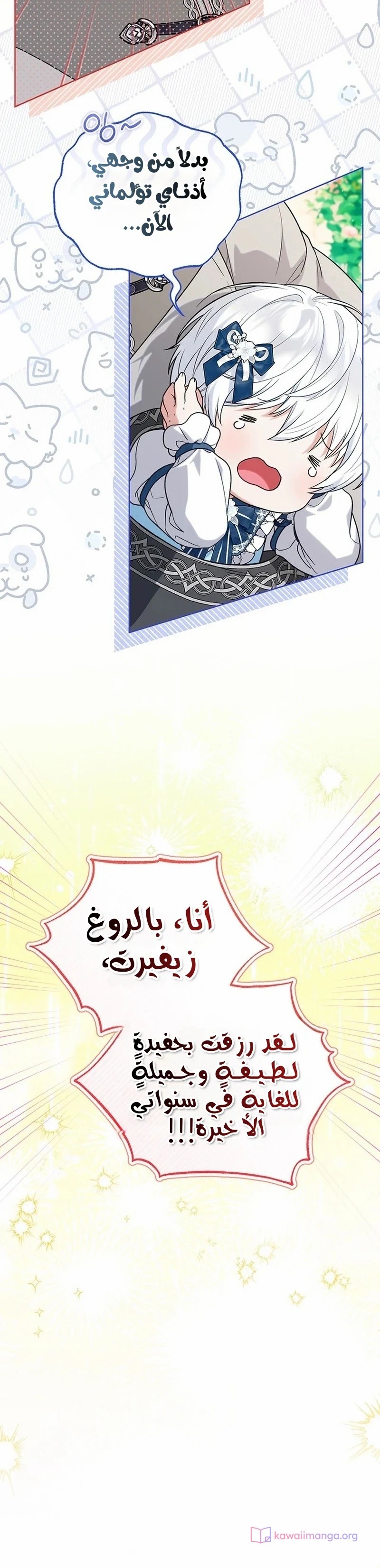 الصفحة 27