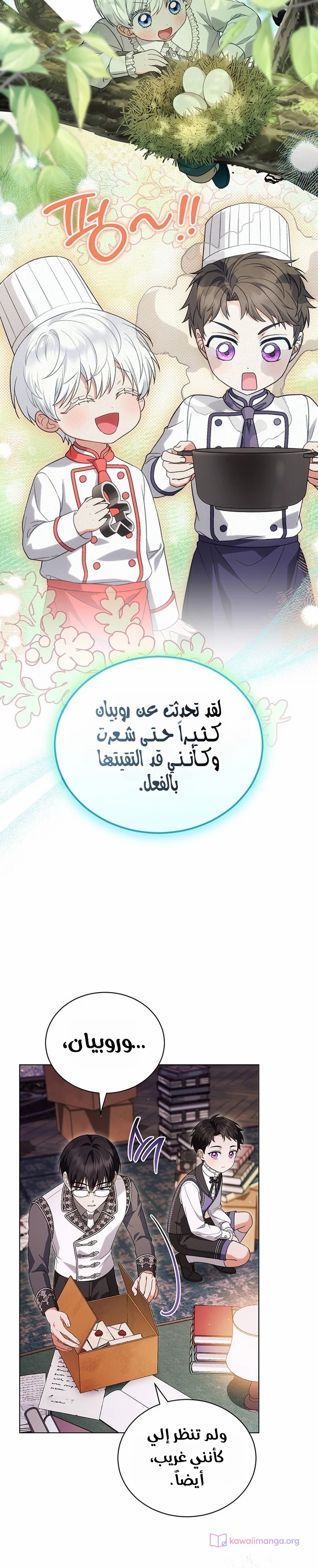 الصفحة 15