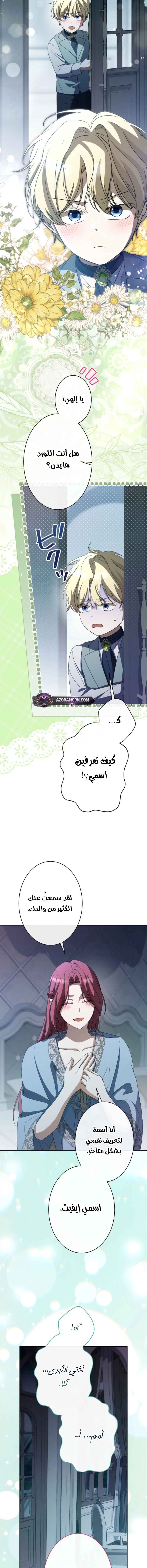 الصفحة 13