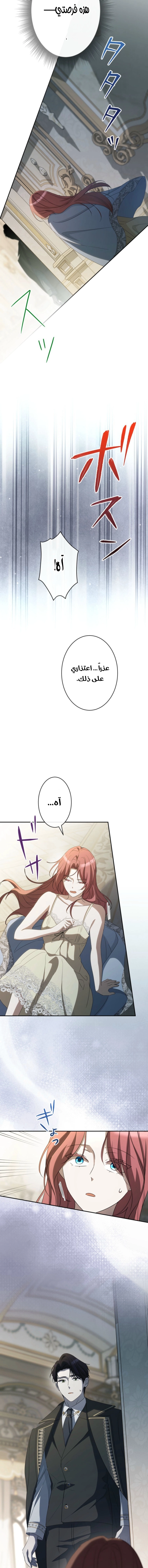الصفحة 20