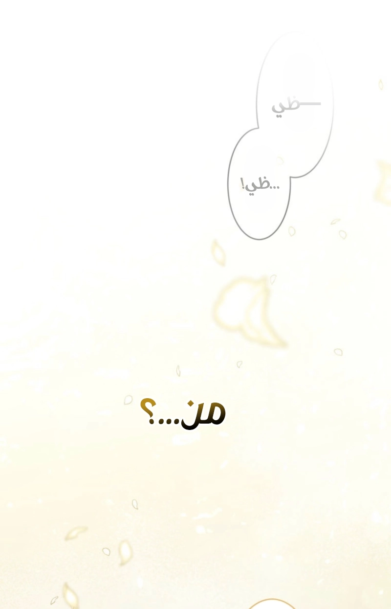 الصفحة 79