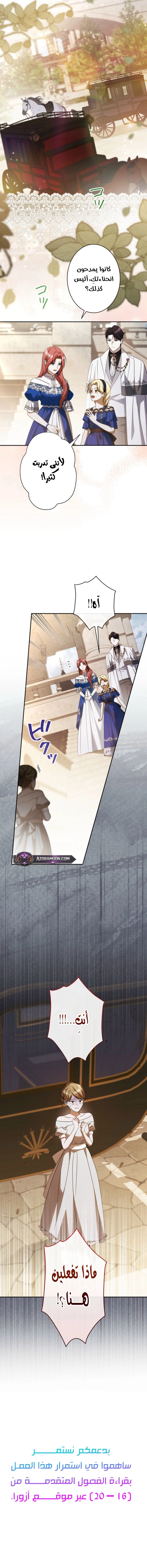 الصفحة 17