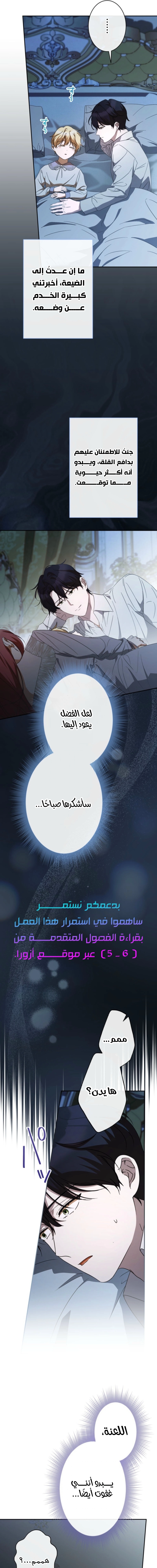 الصفحة 24