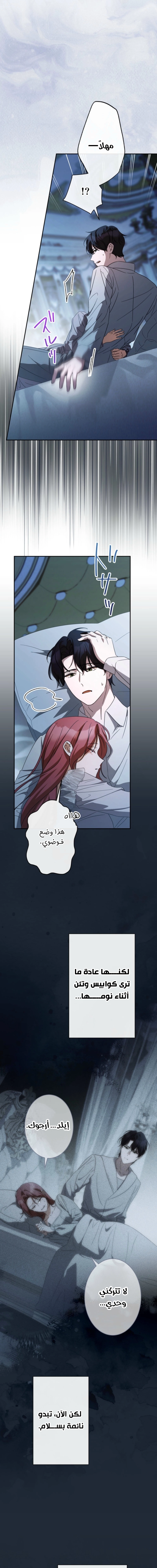 الصفحة 27