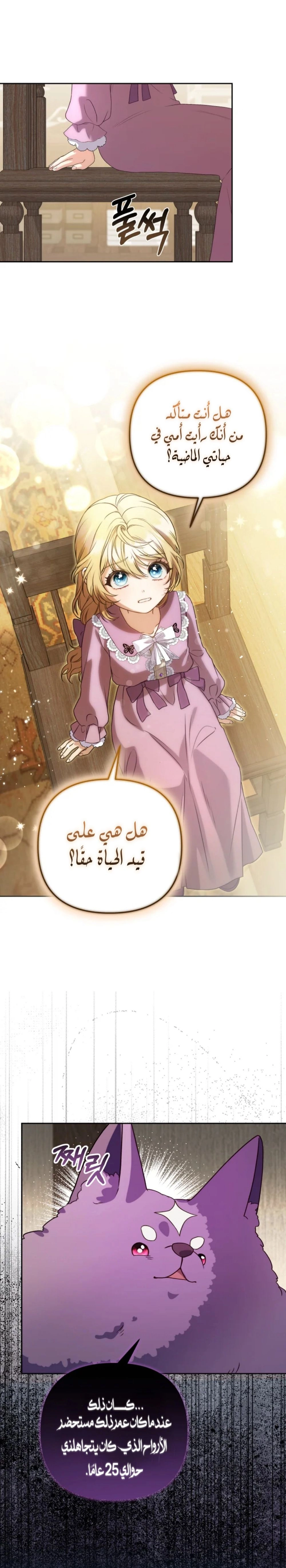 الصفحة 23