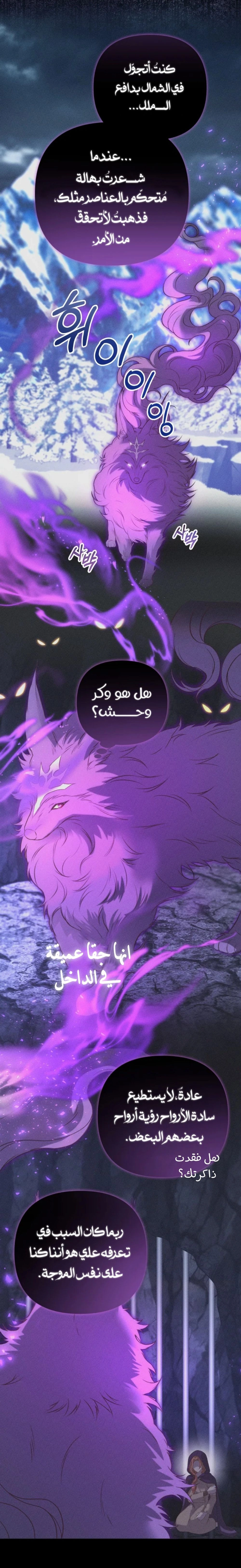الصفحة 24