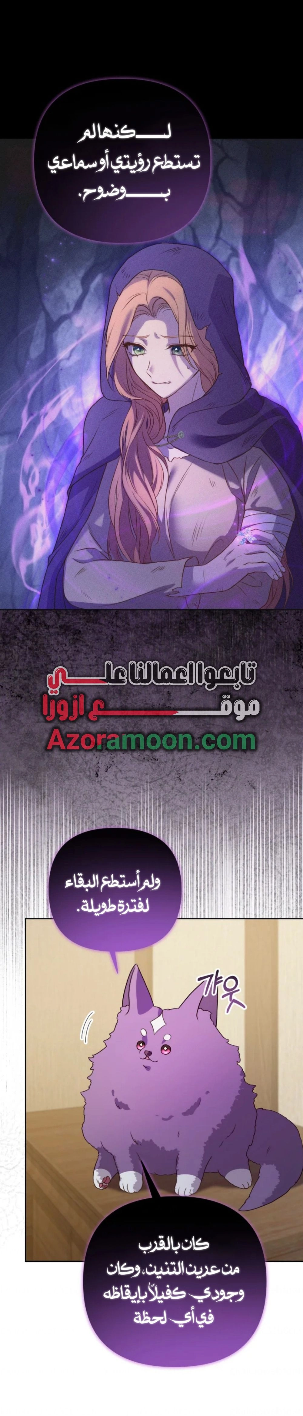 الصفحة 25