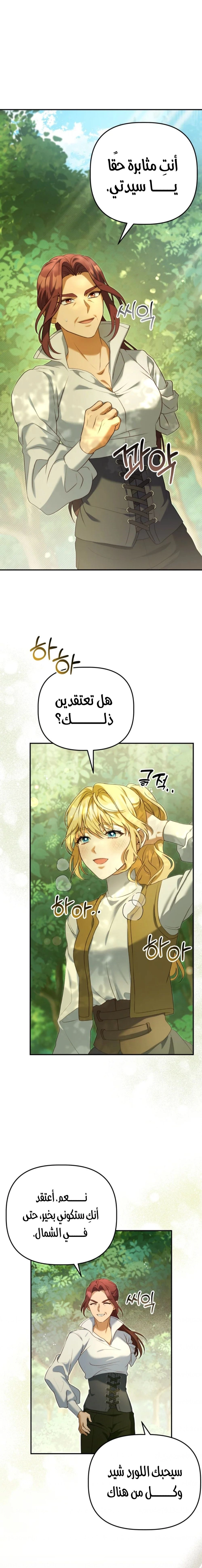 الصفحة 31