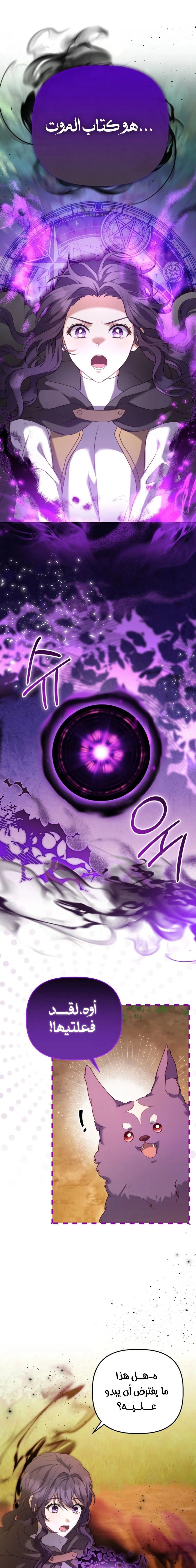 الصفحة 5
