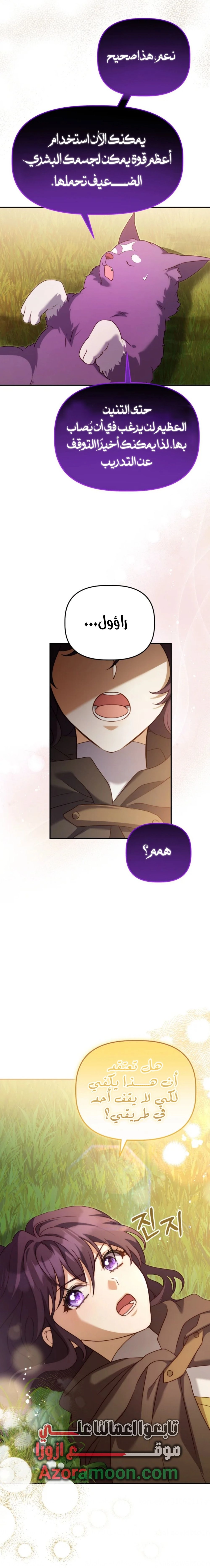 الصفحة 12