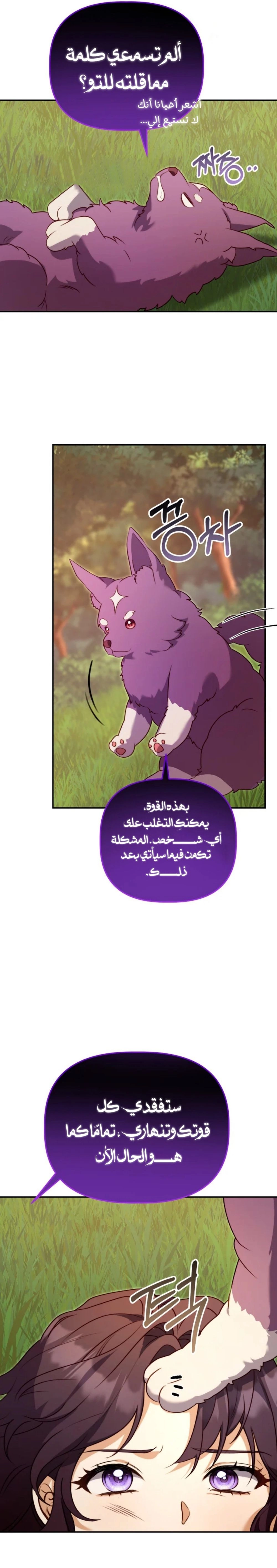 الصفحة 13