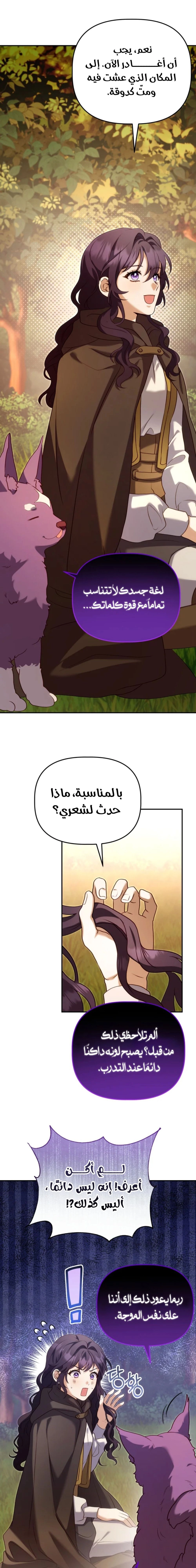 الصفحة 15